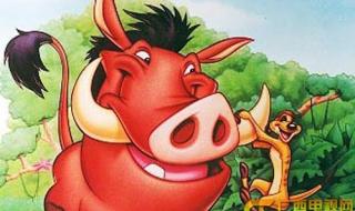 小神龙俱乐部动画片 小神龙俱乐部动画片